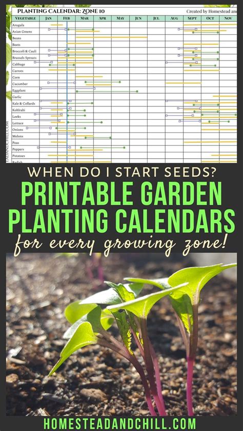 Your Ultimate Guide to Perfect Seed Starting: Garden Planting Calendars ...