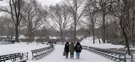 20 Ways to Enjoy Winter in Central Park | Central Park Conservancy