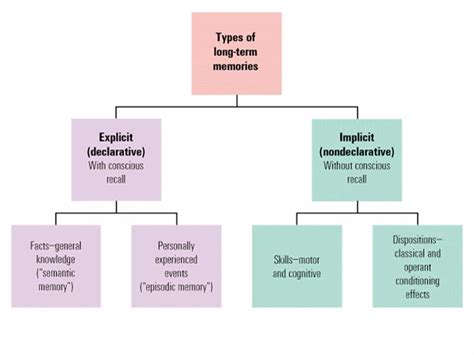 Declarative Memory Chart