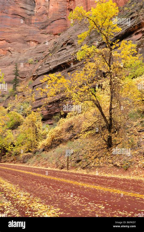 Zion canyon scenic drive hi-res stock photography and images - Alamy