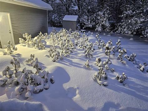 N.J. weather: See photos from Sussex County town hit by a foot of snow - nj.com