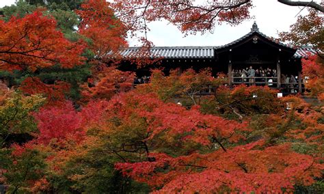 Temple that offers one of the best autumn views in Japan is BANNING all photography during peak ...