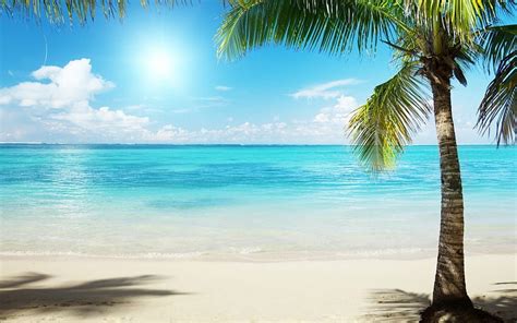 Beach Scene for Computer Beautiful, Tropical Beach Scenes HD wallpaper | Pxfuel