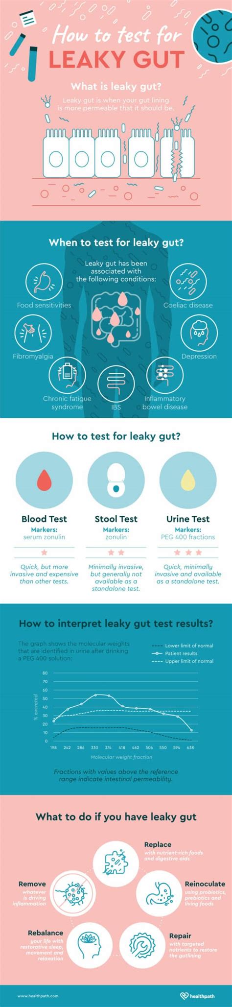 Leaky Gut Syndrome: The Complete Guide (2024) | Healthpath