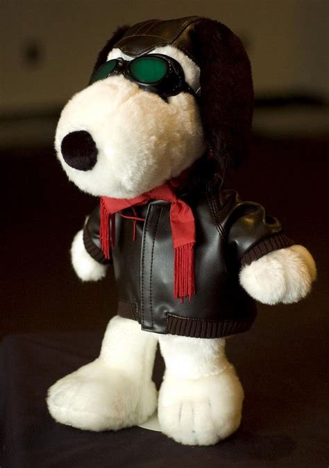 Snoopy plush doll with Flying Ace costume. One of my prized childhood ...