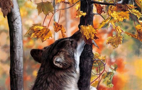 Wolves Autumn Wallpapers - Wallpaper Cave