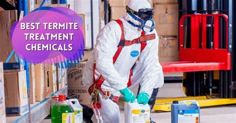 Best Termite Treatment Chemicals - Pest Survival Guide