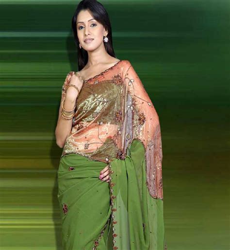 2013 Home Party & Casual Wear Saree ~ Fashion Point