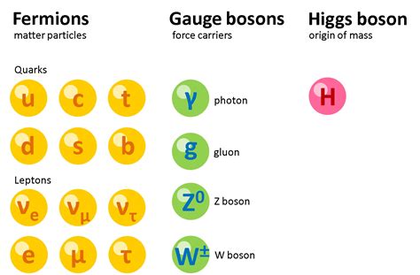 fundamental particles: quarks, leptons and the standard model – fizzics