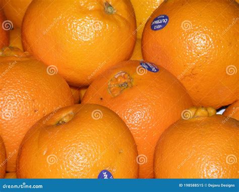 Naval Oranges at a Farm Stand Stock Image - Image of fruit, grove: 198588515