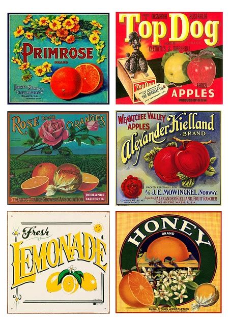 Free illustration: Labels, Vintage, Fruit, Products - Free Image on Pixabay - 1646097