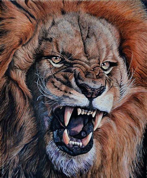 Roaring Lion Art