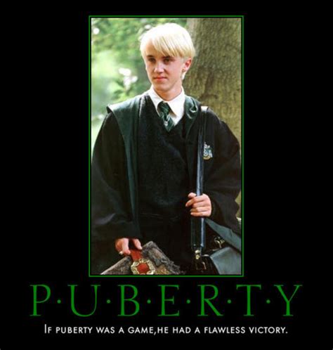 Draco Malfoy Quotes. QuotesGram