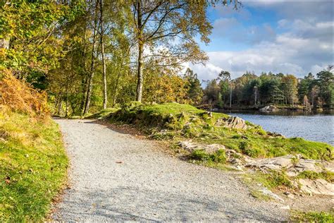 Tarn Hows walk - Coniston walks - Lake District walks