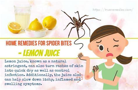 28 Simple Home Remedies For Spider Bites On Face, Neck, Arm