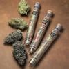 Orange Push Pop [1g] | Freddy's Fuego | Pirate's Reserve Pre Roll - Jane