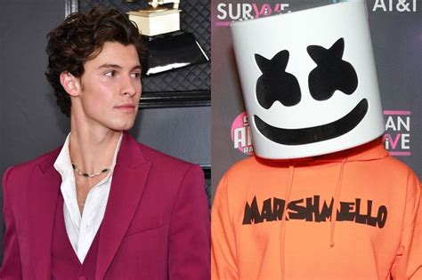 Why Do So Many People Think Shawn Mendes Is Marshmello?