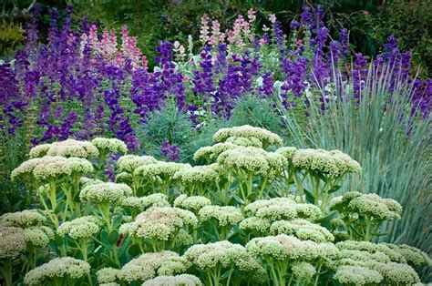 Pin by Deb Owen on Landscape | Pinterest | Companion gardening, Easy garden, Hardy plants