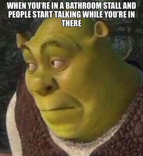 Awkward Shrek meme : r/Shrekmemes