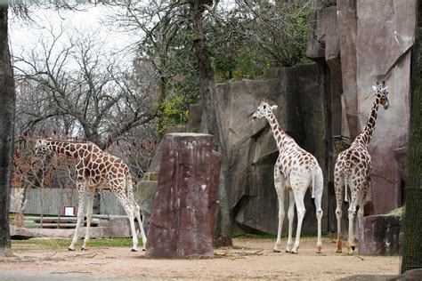 e: Milwaukee Zoo