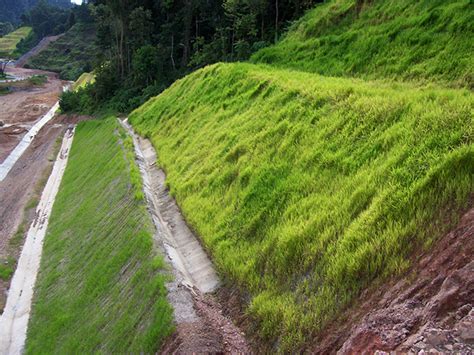 Hydroseeding + Erosion Control Blanket for the best Slope Protection ...