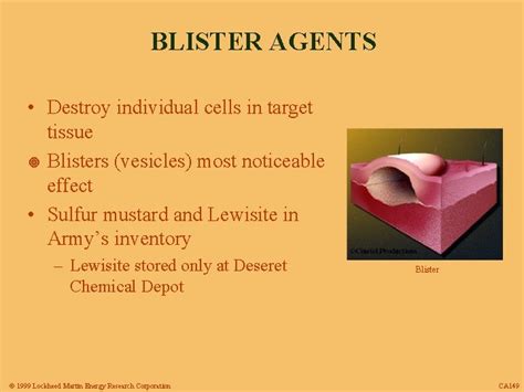 BLISTER AGENT EXPOSURE 1999 Lockheed Martin Energy Research