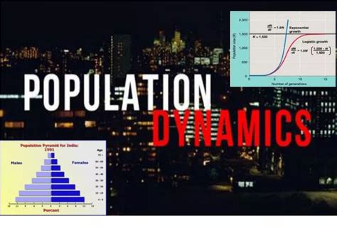 PPT - Population Dynamics PowerPoint Presentation, free download - ID:1862285