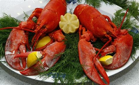 Another Country Has Banned Boiling Live Lobsters. Some Scientists ...