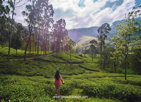 Ella Sri Lanka: Top things to do in Ella (2019 Travel Guide ...