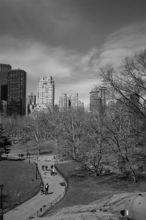 Central Park, NYC Free Stock Photo - Public Domain Pictures