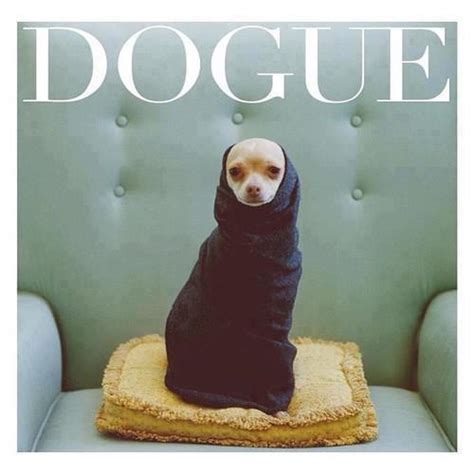 Dogue Fashion