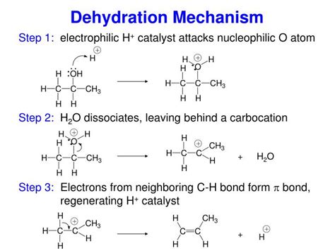 PPT - Alcohols PowerPoint Presentation - ID:2426063