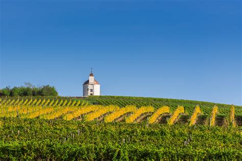 12 Underrated Wine Regions to Visit This Fall, According to the Experts | Vogue