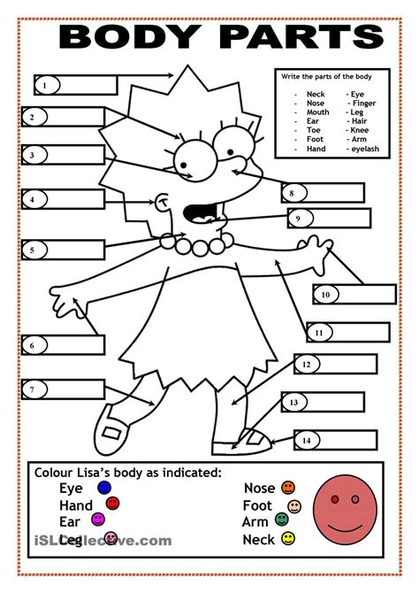 Body Parts Coloring Pages - Coloring Home