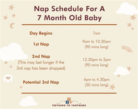 7 Month Old Sleep Schedule: The Advice You Need To Know