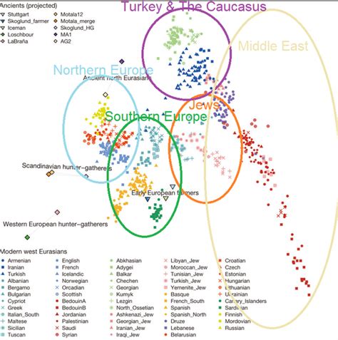 One Third To Half Of Ashkenazi Jews Belong To Mt-haplogroup, 57% OFF