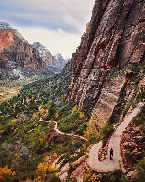 Adventurous Life — [[MORE]] Fall in Zion National Park 🍂 - 📸 Robert...