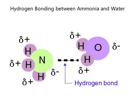 Hydrogen Bond Examples In Water