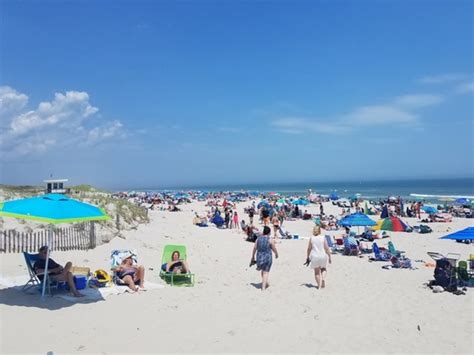 Island Beach State Park Is Filled To Capacity, For Now | Berkeley, NJ Patch