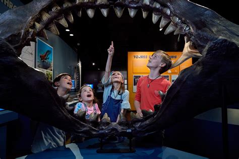 "Sharks" Exhibit Coming to Frost Museum of Science - Aventura Magazine.