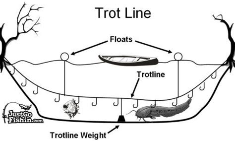 trotline fishing - Google Search | Catfish fishing, Freshwater fishing, Fishing rigs