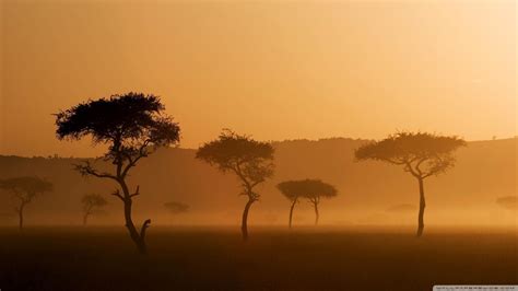 Safari Sunset Wallpapers - Top Free Safari Sunset Backgrounds - WallpaperAccess