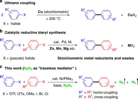 N2H4 as traceless mediator for homo- and cross- aryl coupling | Nature ...