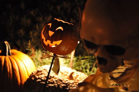 Jack-o'-lantern | Halloween movie night, Jack o lantern, Halloween movies