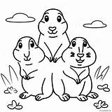 Cute Prairie Dog Family Coloring Page 48184 38099 sketch template