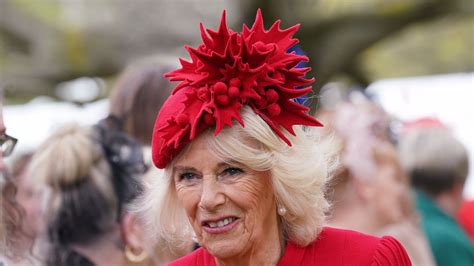 First look at Queen Consort Camilla’s coronation robes - including ...