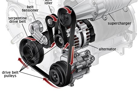 SERPENTINE BELT - Falmouth Motorcar