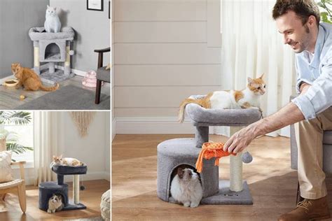 Cat Tree For Small Spaces To Keep Your Kitty Happy: Best 4!