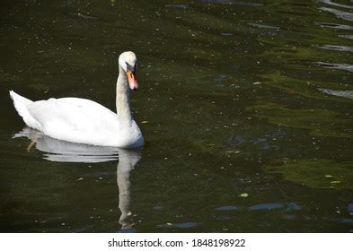 1,127 Marburg old town Images, Stock Photos & Vectors | Shutterstock