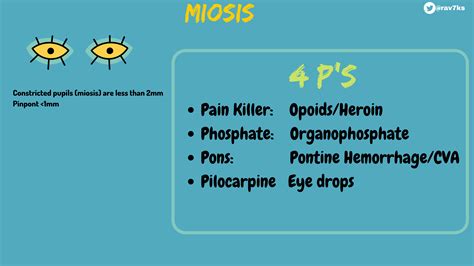 Miosis And Mydriasis